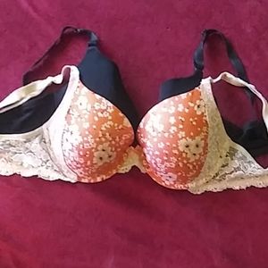 34DD bras